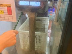 账单-鱼酷活鱼烤鱼(南京水游城店)