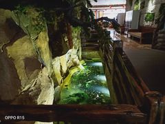 -御池园(顾村公园店)