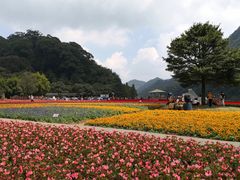 -广州市石门国家森林公园