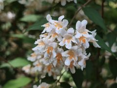 -皇家御河游(紫御湾码头)