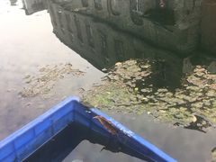 -芙蓉街-王府池子