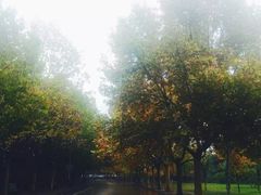 -雪花姐姐(泰华城新天地店)