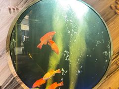 -莉莉海堂HAITANG·烤鸭(国贸商城店)