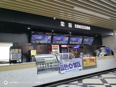 -SFC上影百联影城(大上海4DX店)