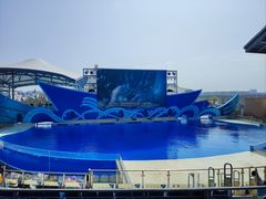 -上海海昌海洋公园