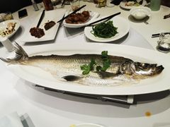 清蒸白水鱼-张福记(五一公园店)