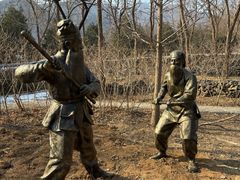 -阳台山自然风景区