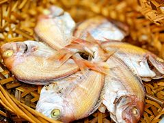 -吴记富苑(朝阳店)