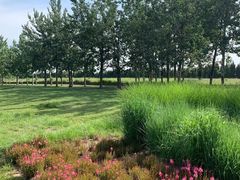 -汉长安城未央宫国家考古遗址公园