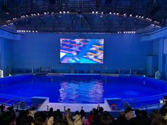 -石家庄极地海洋世界