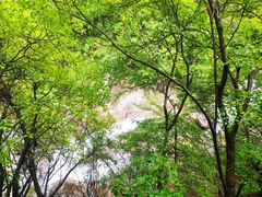 -西安祥峪森林公园
