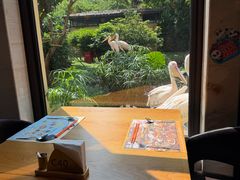 -熊猫自助餐厅.萌趣城堡(长隆熊猫酒店)