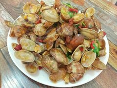 辣炒花蛤-烁佳海鲜大馅饺子