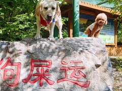 -十渡东湖港风景区