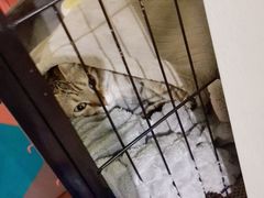 -H立方实景剧情密室(天河旗舰店)