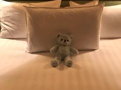 -上海浦东华美达大酒店