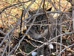 -天津盘山风景名胜区