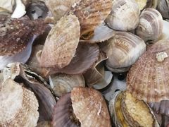 -前王院•巧克力海鲜市集餐厅(万平口店)