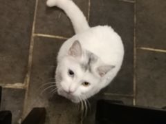 -张记牛肉面馆(天津路店)