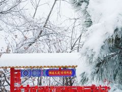 -少华山国家森林公园