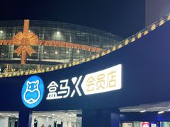 -盒马X会员店(王府井奥莱UP TOWN店)