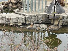 -上方山森林动物世界