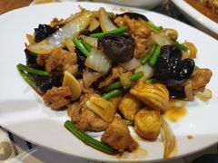 -山西派脂油饼(众创店)