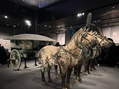 -秦始皇帝陵博物院-丽山园