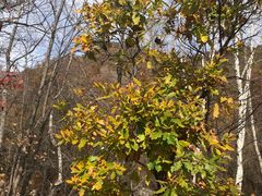 -玉渡山自然风景区