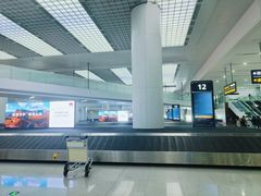 -青岛胶东国际机场