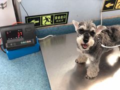 -北京赛佳动物医院