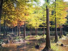 -南京市无想山景区