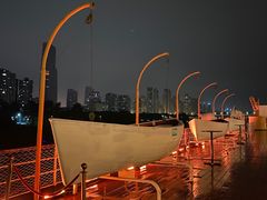 -武汉知音号
