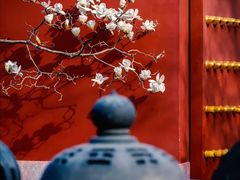 -故宫博物院(故宫)