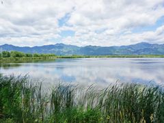 -野鸭湖国家湿地公园