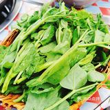 赵美丽火锅很美丽