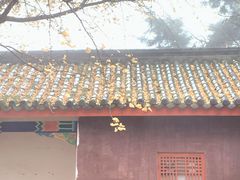 -金堂县云顶石城风景区