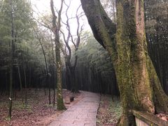 -西湖风景区十里琅珰-五云山