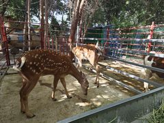 -哈密回王府景区