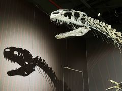 -正佳自然科学博物馆