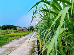 -锦江里碉楼群