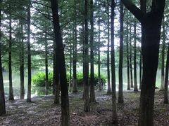 -艾溪湖湿地公园