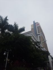 -厦门市妇幼保健院(总院区)