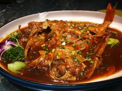 红焖野生小石斑-梁溪河畔·吉府花园(南长街南下塘店)