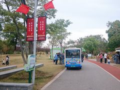 -上海长兴岛郊野公园