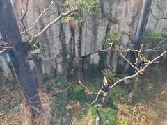 -武汉动物园