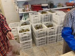 -璐坊粽王(复兴中路店)