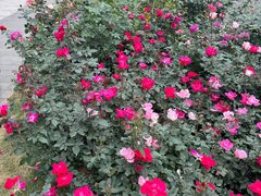 -人民公园(罗湖区)