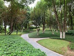 -重庆市江北嘴中央商务区中央公园