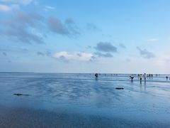 -南汇嘴观海公园